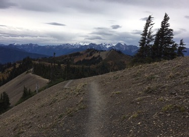 Klahhane Ridge trail
